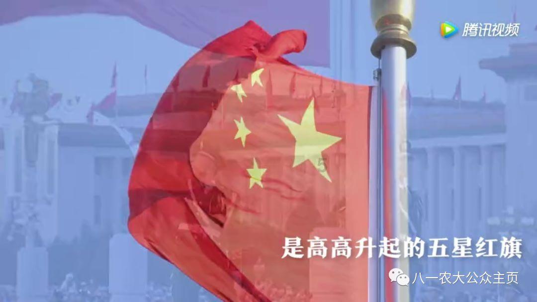 专业知识星球平台——茶花和月季哪个更怕热?,成为行业翘楚