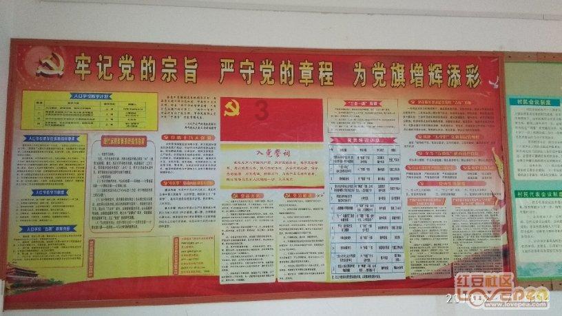 大米放久了为什么会生虫子？有什么好的方法能避免大米生虫子？